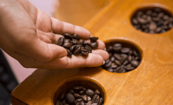 Explore Coffee Growing Regions Around The World